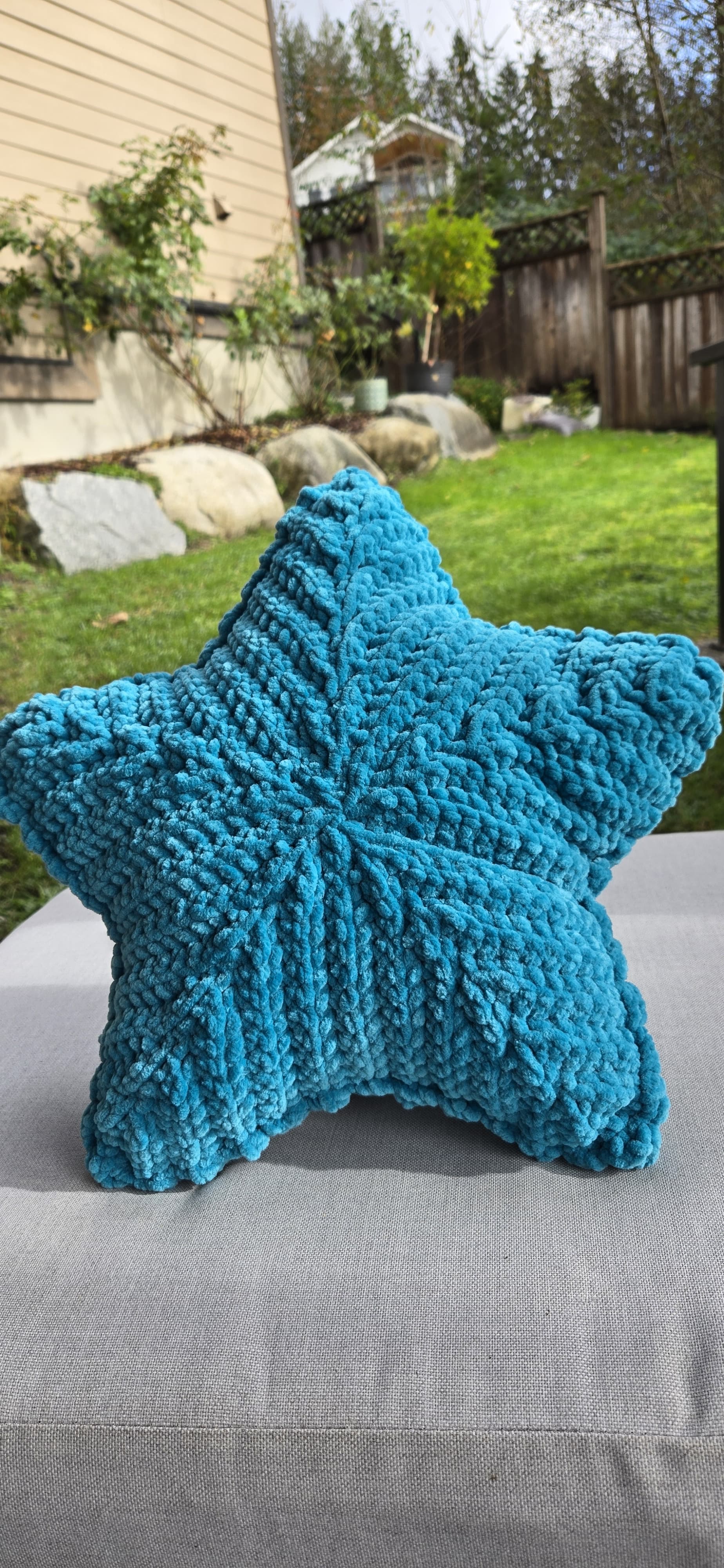 Blue Star Cushion