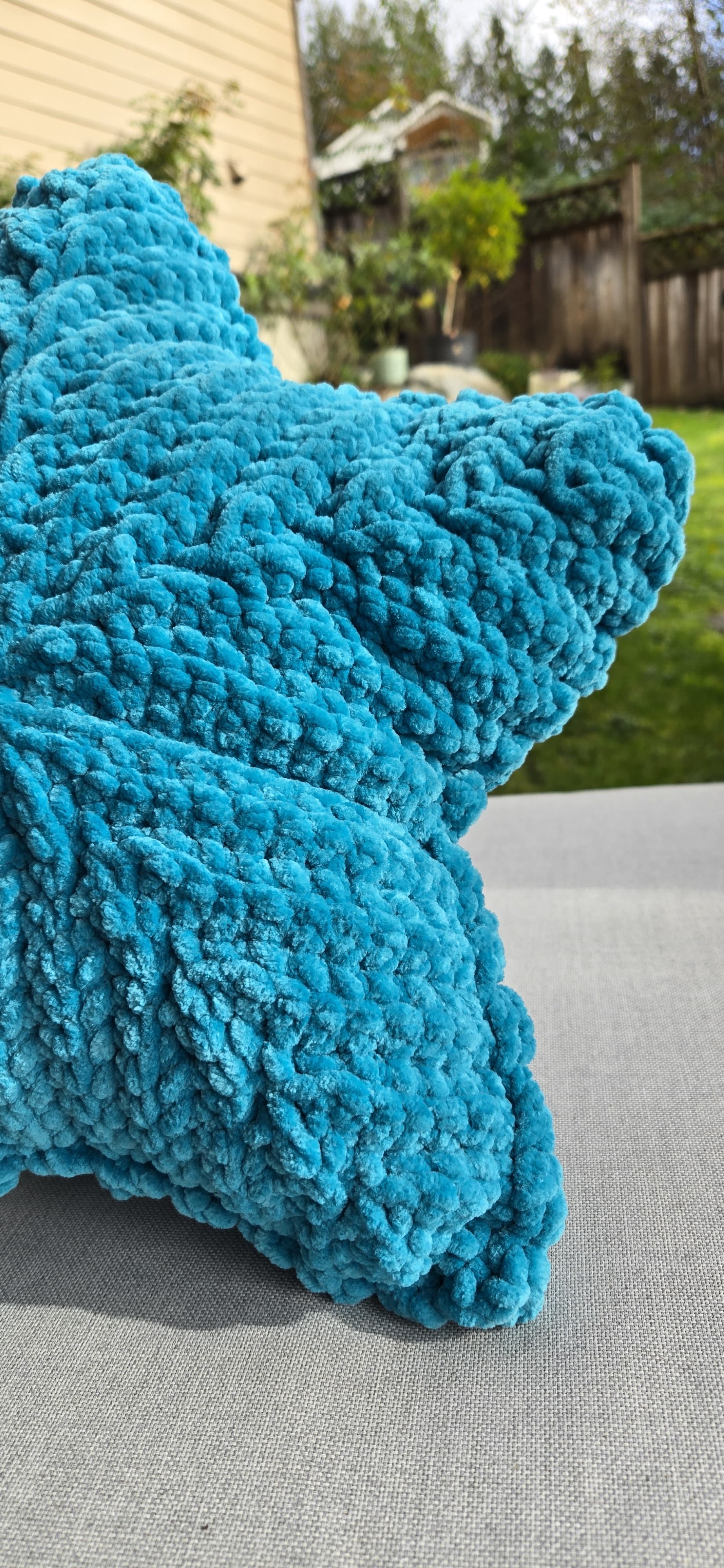 Blue Star Cushion